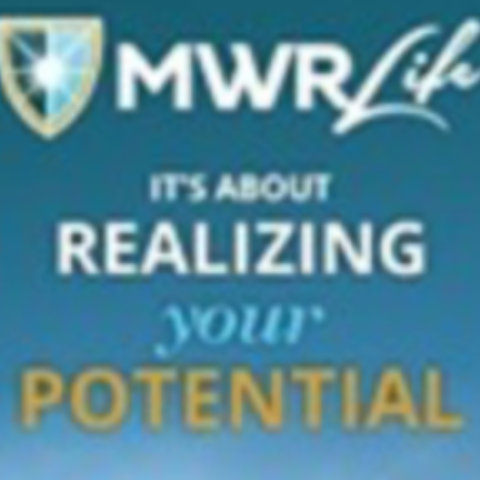 I really love the new pre-team building concept that help build the MWR Life Business. I see this as being a stroke of genius by Steven Scott