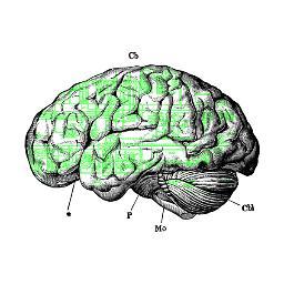 PsychoSchems's profile picture. 