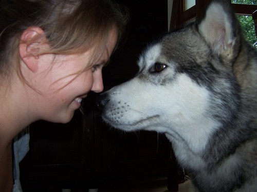 Ik: zon, motorrijden, Inouk 'Ik ben geen husky, maar een Malamute!',cabrio-rijden, moijito's, duiken, goudsmeden.