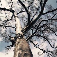 AntipodesJournal (@antipodeslit) 's Twitter Profile