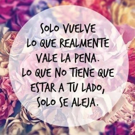 ShciloDiana's profile picture. 