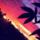 High Vibes (@00StonerShit) Twitter