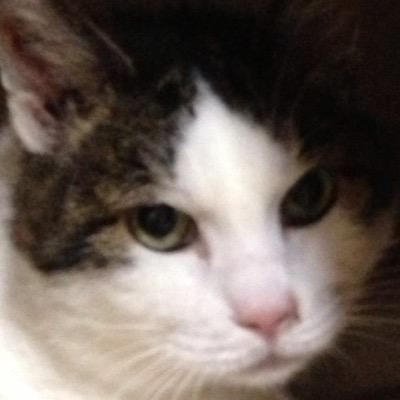 aktjn's profile picture. KUCC10/転生先→@takiAnJu