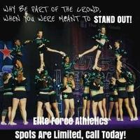 EliteForceAthletics (@efacheerva) 's Twitter Profile