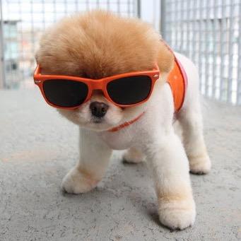 tihiroizmi's profile picture. どうも！はじめまして！営業部の杉山です！！！ モデルのいろいろな情報をお届け致します。