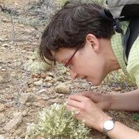 Bettina Tonn  (@bettinatonn) 's Twitter Profile Photo