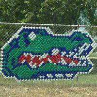 Campbell Middle(@CampbellGators) 's Twitter Profile Photo