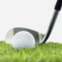 FSHSGirlsGolf (@coachlmeyer) 's Twitter Profile
