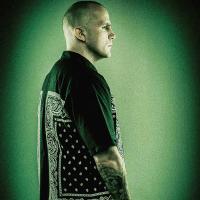 Wildcard (@wildcardqm) 's Twitter Profile