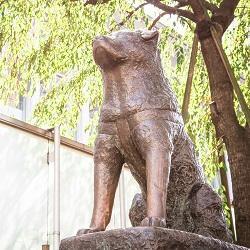 S_IKUMEN's profile picture. 渋谷区で子育てと仕事を頑張るイクメン社長。ブログやってます。