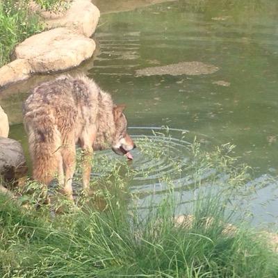 hicozaemon123's profile picture. サウンドクリエーター 音楽プロデューサー 目指してます₍₍ ◝(•̀ㅂ•́)◟ ⁾⁾ゲーム会社にも勤めてますた( `･ω･) よろしくおねがいします #相互フォロー #音楽 #サントラ