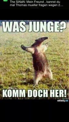 koolBln's profile picture. 