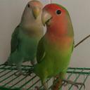 marisol javier marti - @marisoljavierma - Twitter