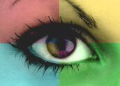 Watching Me -- Watching You