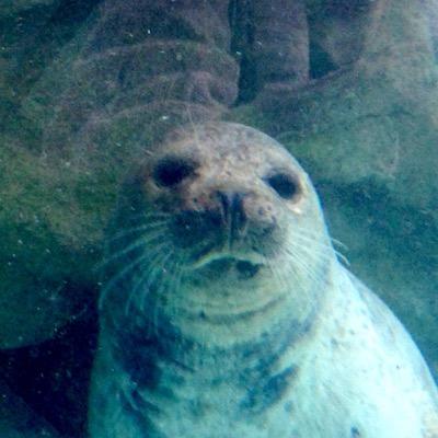 381さんのプロフィール画像