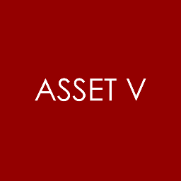 Asset V