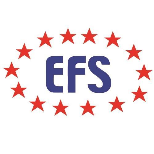 Part of the EFS Group formed in 1996 | #Air Freight | #Sea Freight | #Road Haulage | #Worldwide | #European | Own fleet of over 100 vehicles