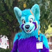 Nitram (@nitramhu) 's Twitter Profile