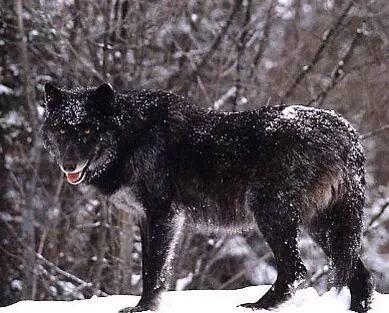 abdalmajeed5674's profile picture. ‏سبحان الله