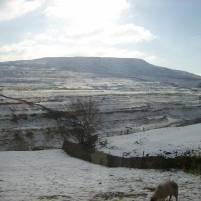 SettleArtisans's profile picture. 