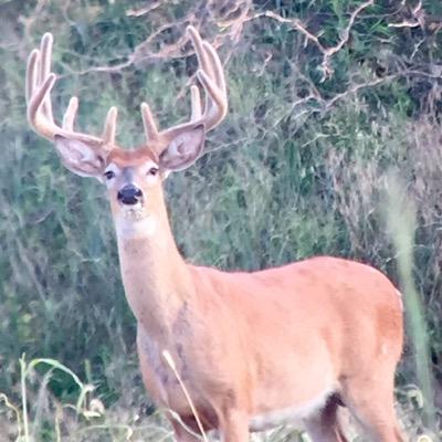 Hunter dedicated to killing big North American game espcially whitetails. Come to me those who are weary and burdened, and I will give you rest. Mattew 11:28