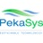PekaSys, Inc