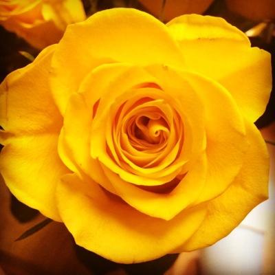 gibodden's profile picture. Blessed