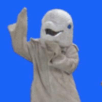 HitTheDolphin's profile picture. Posting the best #hitthedolphin