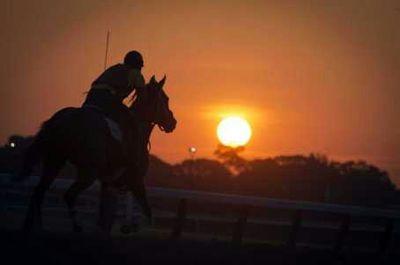 Racehorse Industry #USMilitaryFamily🌟#AmericaFirst🇺🇸 #MAGA🌟#Dogs #Horses🌟#2A #1A #NRA #PureBlood #IFBP #LGBFJB🌟Capitalists race horses Socialists eat them