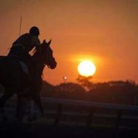 Barb🏇O'🇺🇸☘️ (@gotspeed2burn) 's Twitter Profile