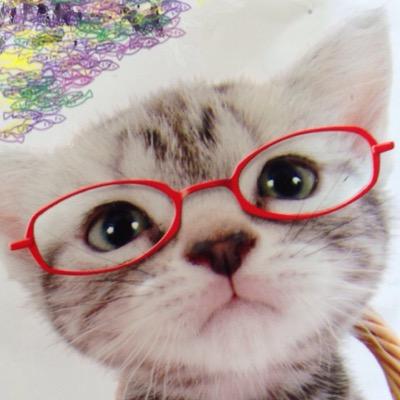 基本 モンストのためのTwitterです😅 猫になりたい 猫が大好きな化け猫です😸