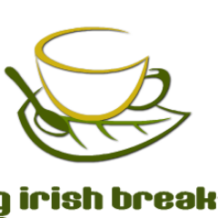 BigIrishBrekkie's profile picture. 