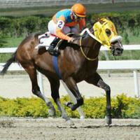 RICO CARTY (@ricocarty) 's Twitter Profile