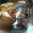 TAZ01365's profile image