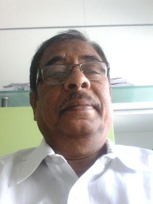 Consulting Engineer for  Power Transmission  and Distribution