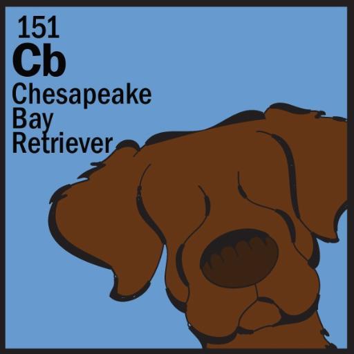 Colleen_M_Gill's profile picture. “...life every now and then becomes literature...as if life had been made and not happened.”