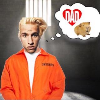 stopchomikk2k15's profile picture. My dad's a guinea pig. So wild.