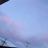 こにゃんこ (@florchuva27) 's Twitter Profile Photo