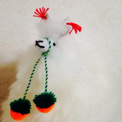 nantoayako's profile picture. 岡山県立大学栄養→保育所栄養士