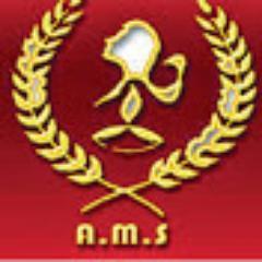 AMS Institute Profile