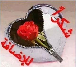 aymony2013505's profile picture. ‏‏أحب الصدق والوفاء 77149999