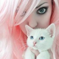 Tracy Palmer (@tracypalmera) 's Twitter Profile