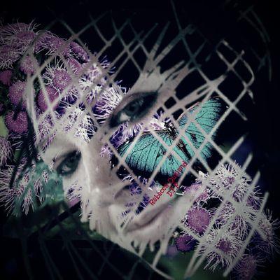 yourhairyballs's profile picture. A fun mess!  Though at times you should probably run away! (& no that's not a joke)