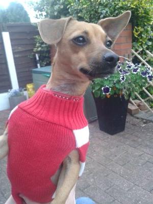 JCElsworth's profile picture. Mother, Worker. Loves food, farming, comedy and twiglets, pooch lover #AdoptDontShop