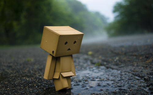 haseeb1431's profile picture. 