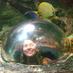 fishface (@leahmolly) Twitter profile photo fishface (@leahmolly) Twitter profile photo