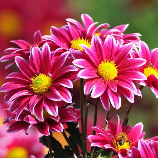 pau_andy12's profile picture. ♥♥♥