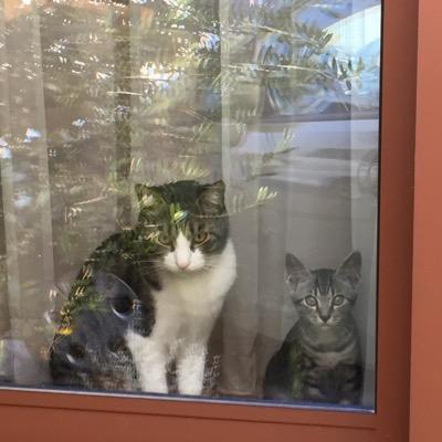 KyoSmily's profile picture. 