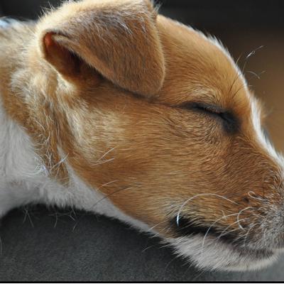 exwhyag's profile picture. // @ralf's Experimental Lab