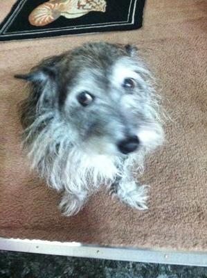 rovery08's profile picture. 